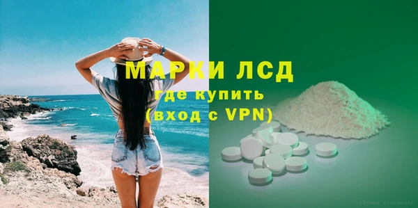 прущие грибы Богданович