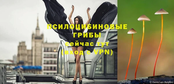 mdpv Бронницы