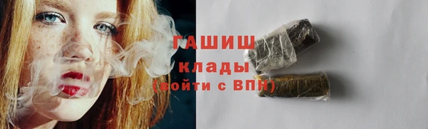 хмурый Арсеньев