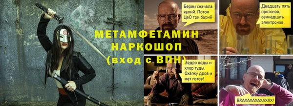 прущие грибы Богданович