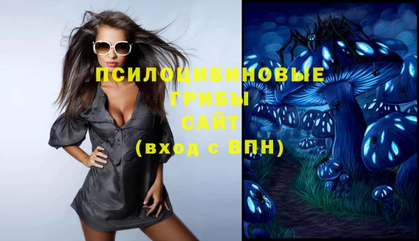 кокс Богородск