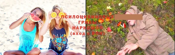МДПВ Ростов