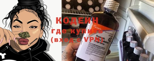 прущие грибы Богданович