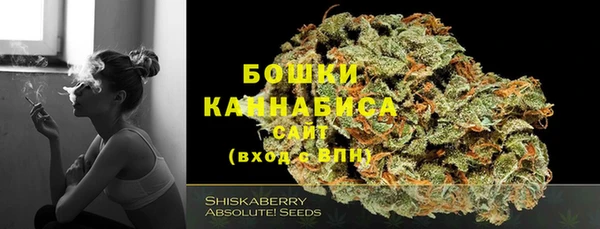 прущие грибы Богданович