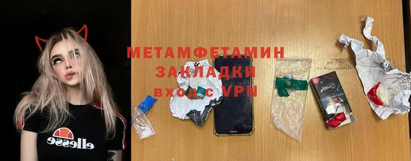 прущие грибы Богданович