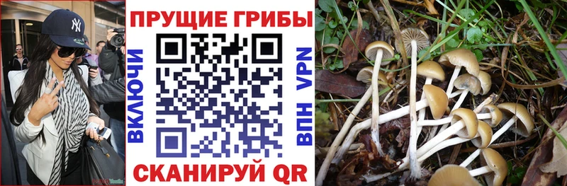 Псилоцибиновые грибы Magic Shrooms  мориарти как зайти  Свирск  гидра ссылки 