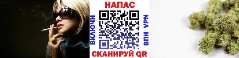 Бошки Шишки гибрид Свирск